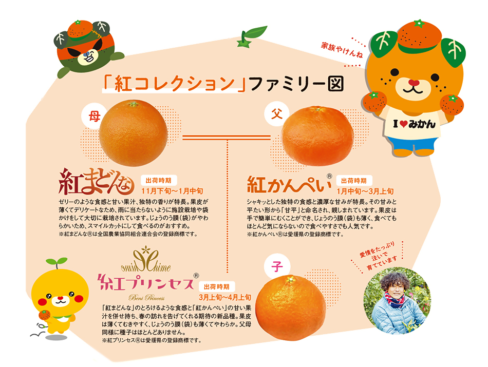 「紅プリンセス」販売スタート！