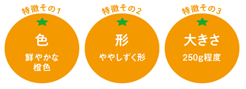 紅プリンセス