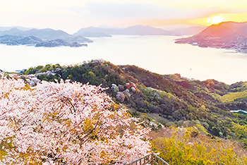 いわぎ桜まつり