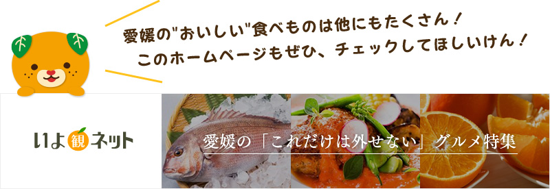 いよ観ネット　愛媛の「これだけは外せない」グルメ特集