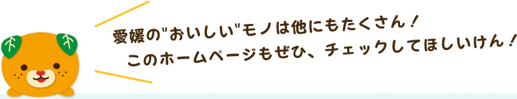 愛媛のおいしいモノは他にもたくさん！このホームページもぜひ、チェックしてほしいけん！