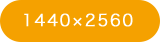 1440×2560