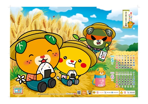 5月-6月