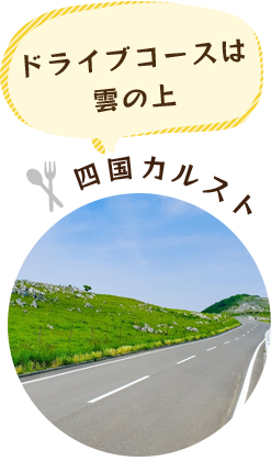 ドライブコースは雲の上 四国カルスト