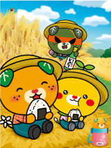 5月-6月