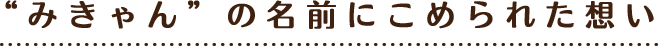 “みきゃん”の名前にこめられた想い