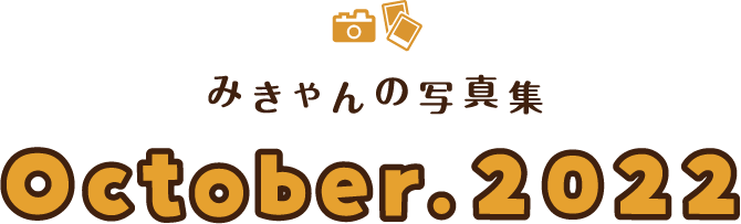 みきゃん写真集