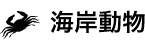 海岸動物