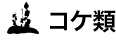 コケ類
