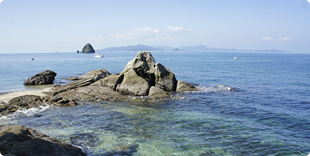 沿岸からの眺めの写真