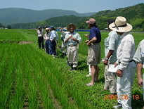 疎植栽培講習会風景