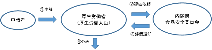 安全性審査手続き図2