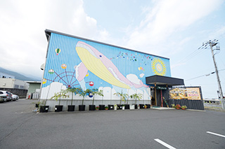 こんにゃくショップ空とぶくじらの画像1