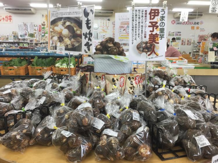 JA うまじゃじゃうま市の画像2