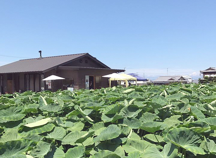 まなべ商店の画像1