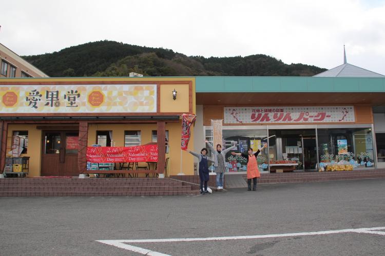 りんりんパークー全景