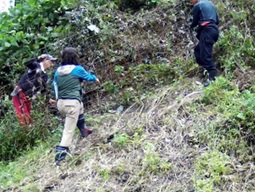 防護柵の侵入状況調査