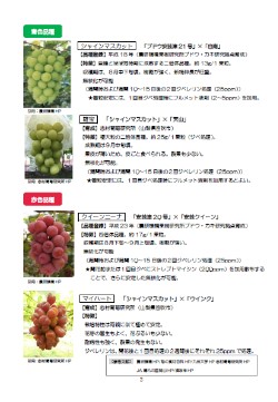 品種特性の画像2