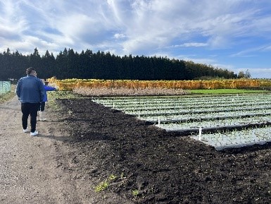 青森先進事例調査