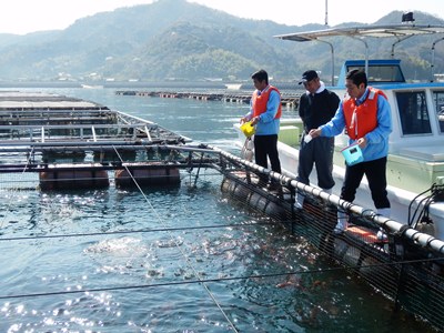 3月28日（金曜日）瀬戸内しまのわ2014民間企画イベント「来島鯛！いきいき真鯛に出会える餌やり体験」視察（今治市）の画像