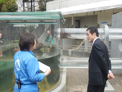 4月18日（土曜日）県立とべ動物園視察（県立とべ動物園）の画像