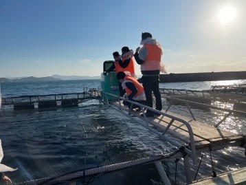西予体験・餌やり