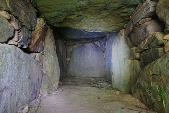 宇摩向山古墳の画像3