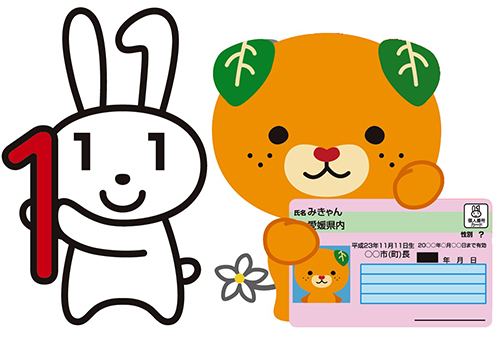 マイナンバーカード