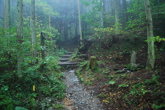 伊予遍路道(横峰寺道)の画像1