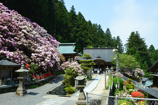伊予遍路道（横峰寺境内）の画像