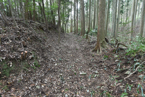 八幡浜街道（夜昼峠越）の画像1
