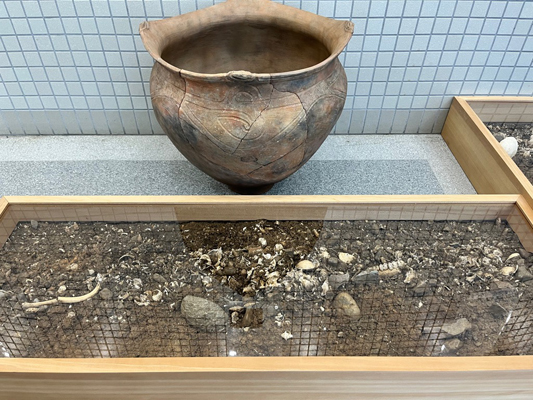 平城貝塚の画像3