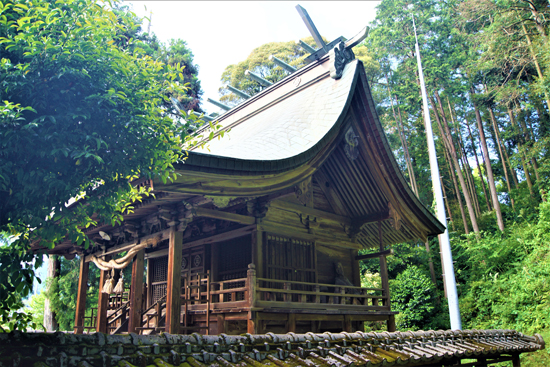 三島神社本殿の画像2