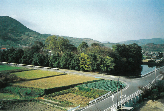 荏原城跡の画像