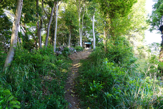 日高鯨山古墳の画像2