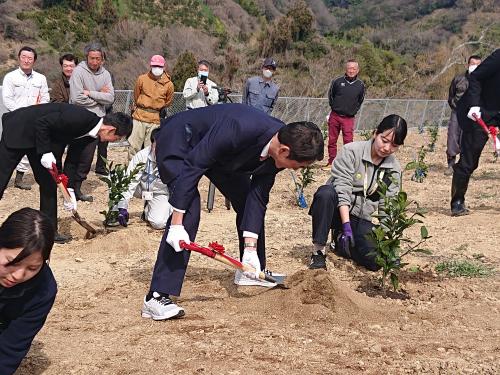 3月11日（月曜日）宇和島市吉田町「玉津地区」再編復旧の柑橘園地植栽開始式（宇和島市）