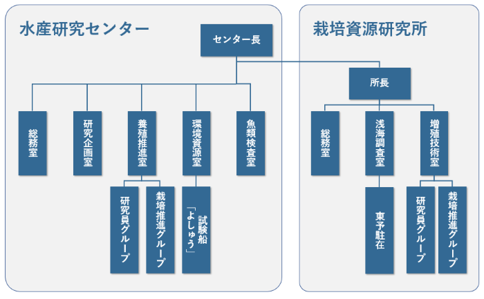 組織図の画像