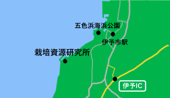 伊予市のマップ