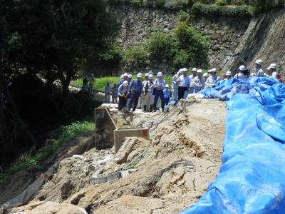 (3)現地確認（斜面上部）