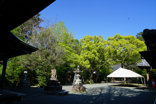 八幡神社社叢の画像2