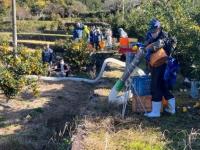 ゆずのバキューム式収穫システム