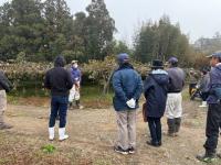 せん定のポイント説明