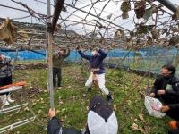 せん定作業の実演