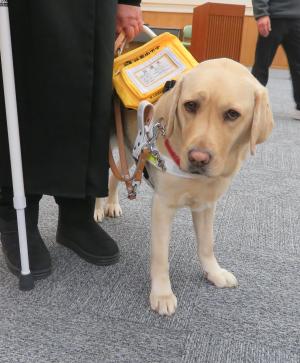 補助犬
