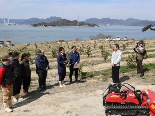 3月10日（月曜日）今治市上島町「上浦地区」再編復旧の柑橘園地視察（今治市）