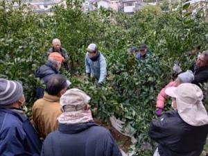 参加者で確認し合いながら実演
