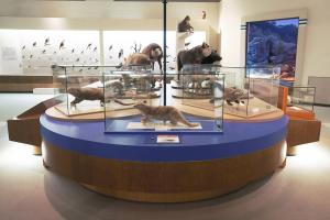 宝くじ(博物館①)