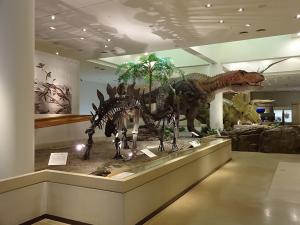 宝くじ(博物館②)