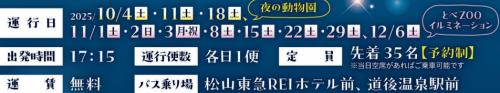 イルミネーションバス