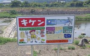 「愛南町」僧都川河川敷公園に関する写真